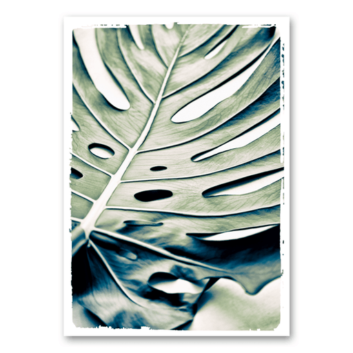 Mo-Ca Dutch old canvas The green monstera