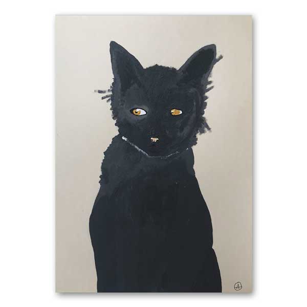Black cat