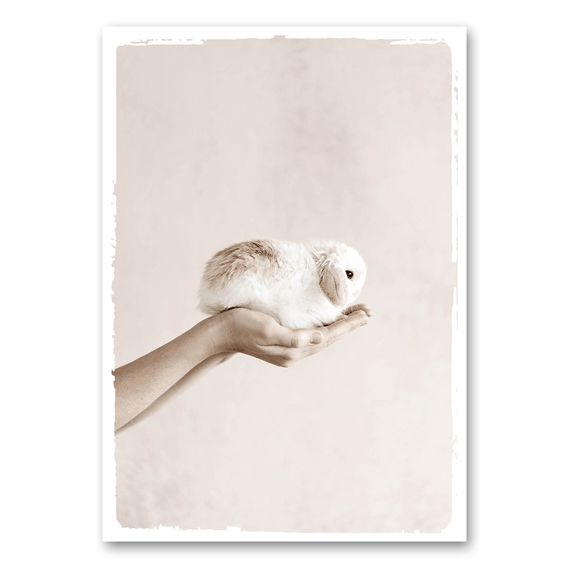 Mo-Ca Dutch old canvas Konijn in de hand