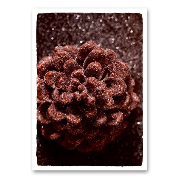 Close-up canvas van een dennenappel met sneeuw – winterse natuur wanddecoratie van Mo-Ca.