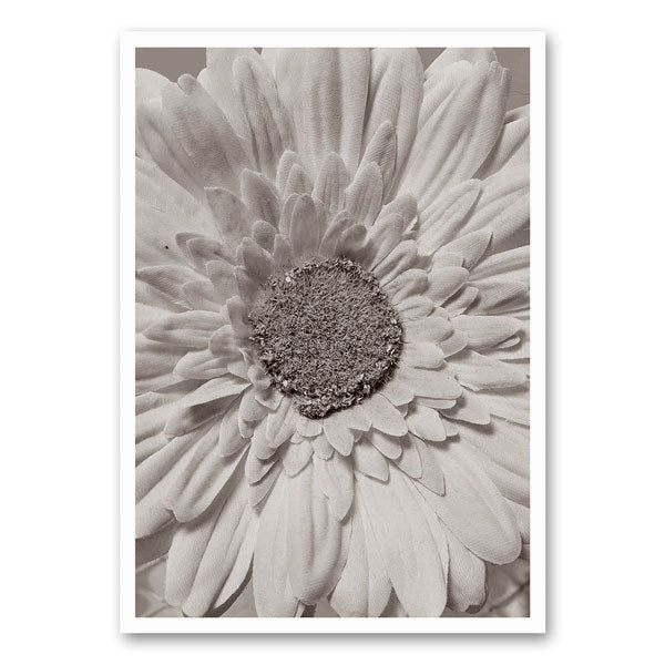 Zwart-wit canvas met een gedetailleerde bloem, een elegante en verfijnde wanddecoratie voor in huis.
