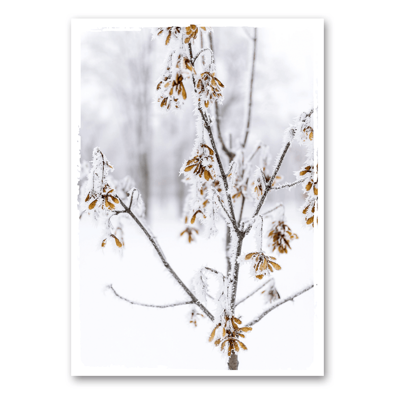 Mo-Ca Dutch old canvas Wintertak