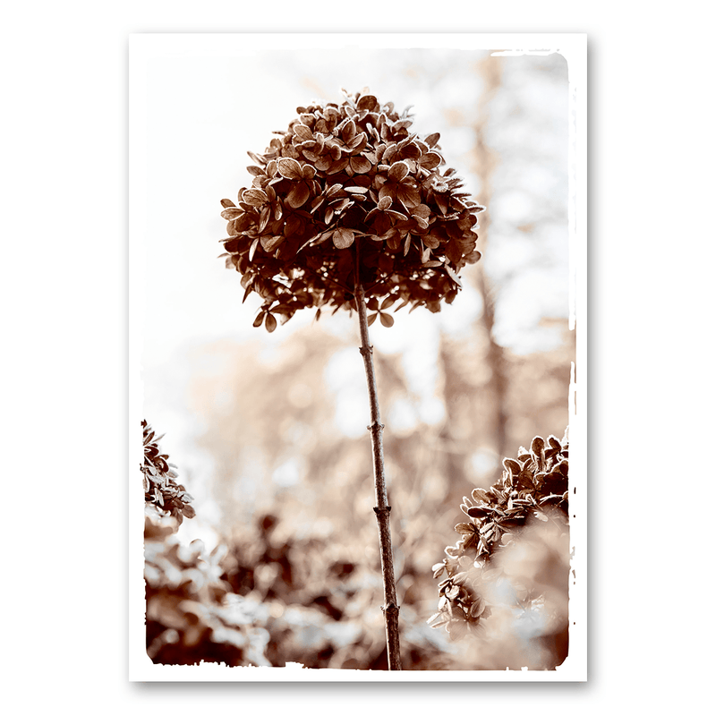 Mo-Ca Dutch old canvas Hortensia