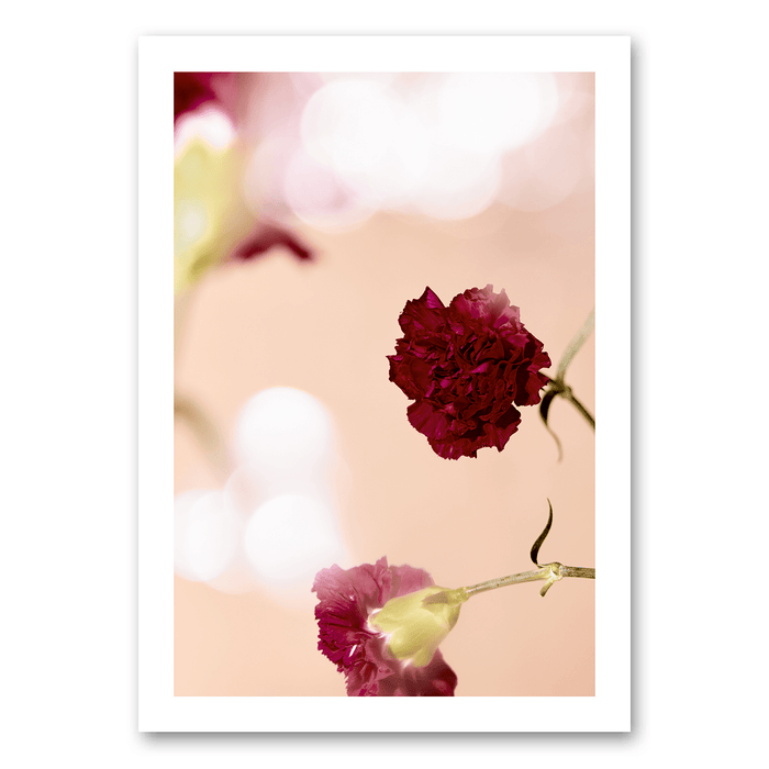 Art of two red carnations