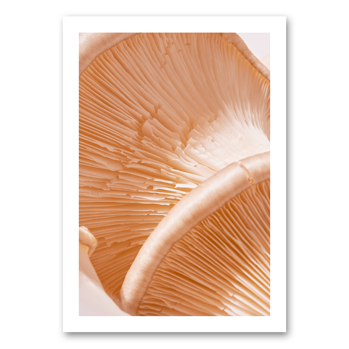 Art of a mushroom