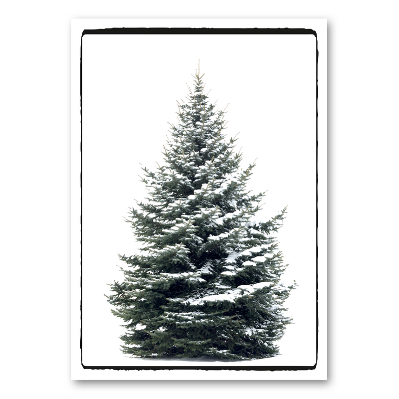 Weihnachtsbaum