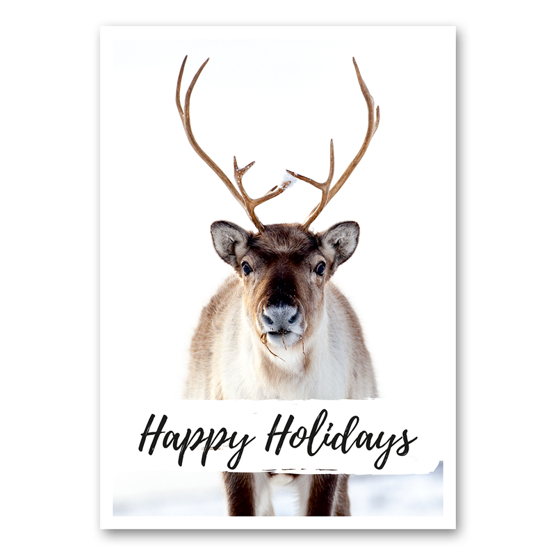 Happy Holidays