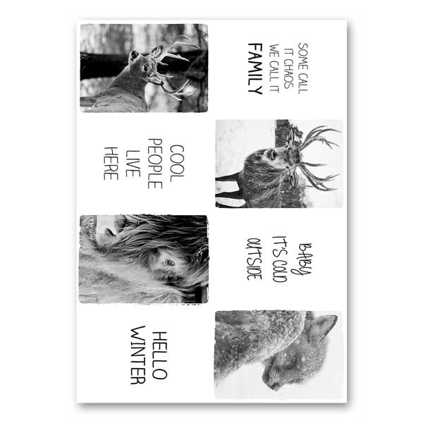 Winterslinger met dieren