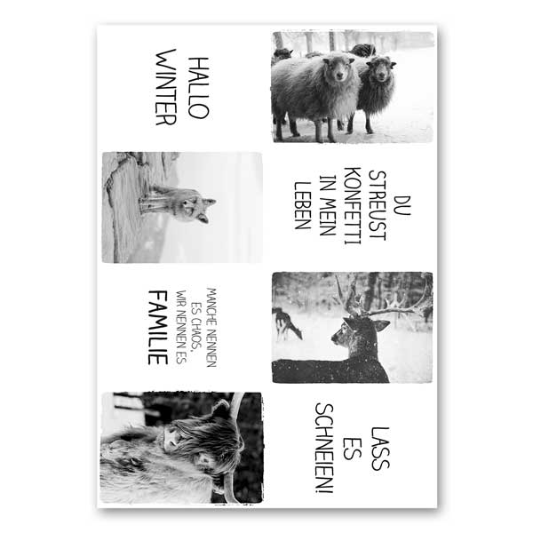 Winterslinger met dieren