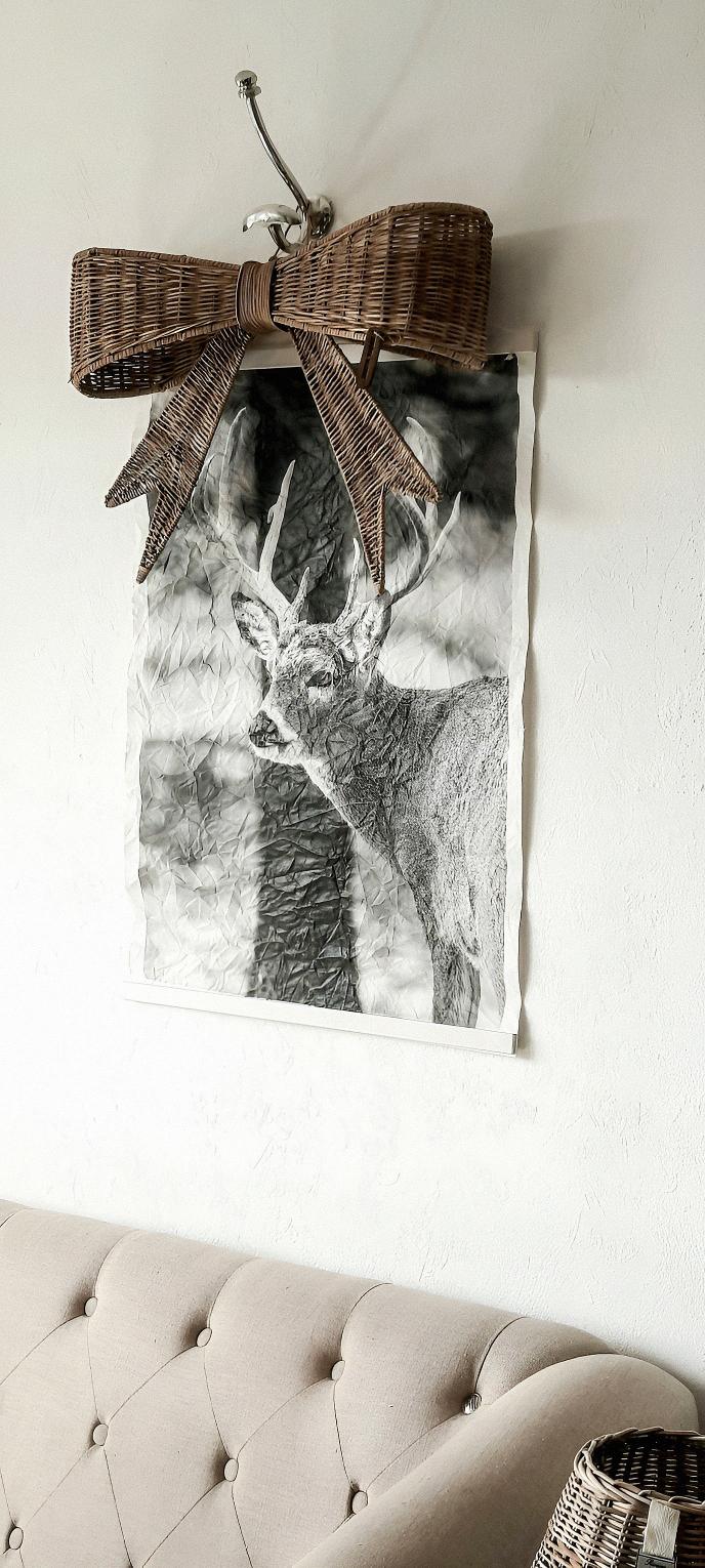 Red deer in black and white