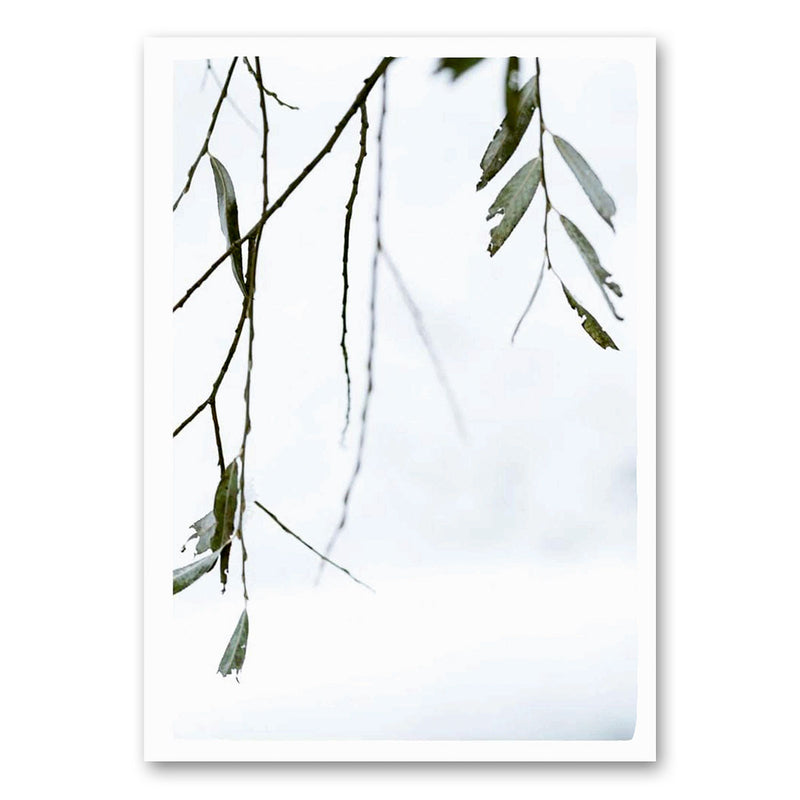 Takken in de winterlucht