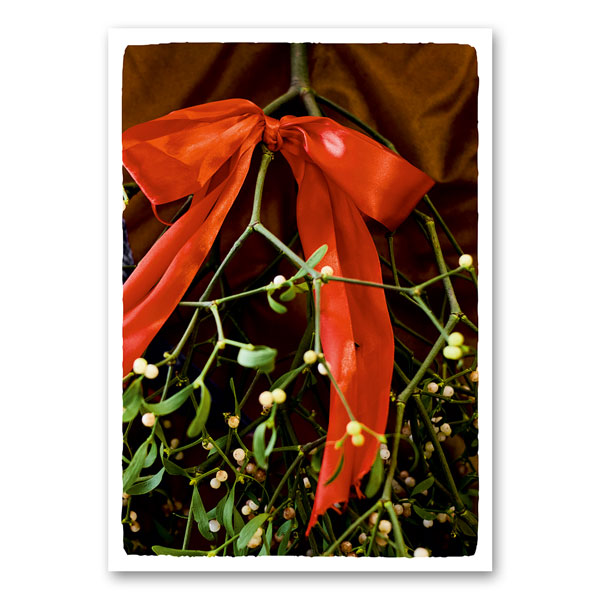 Canvas van maretak met witte bessen en rode strik – feestelijke wanddecoratie van Mo-Ca.