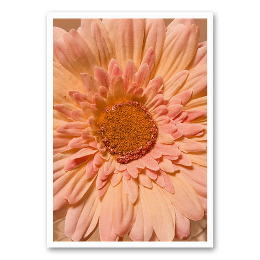 Close-up van een perzik roze gerbera op een canvasdoek, met zachte bloemblaadjes en een gedetailleerd bloemhart.