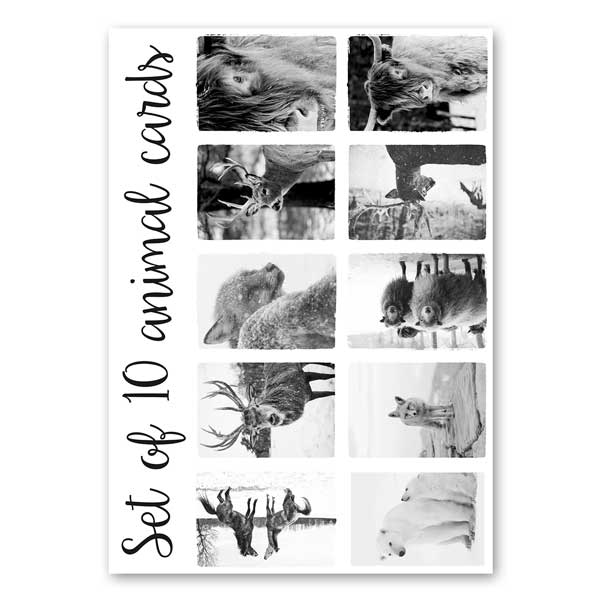 Set met papieren kaarten - Dieren