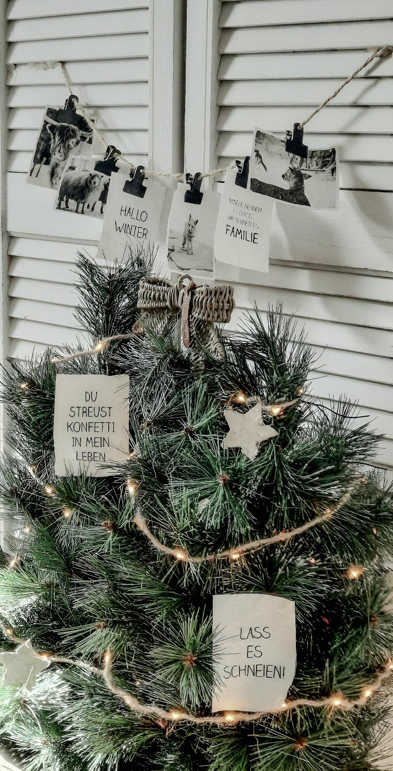 Winterslinger met dieren