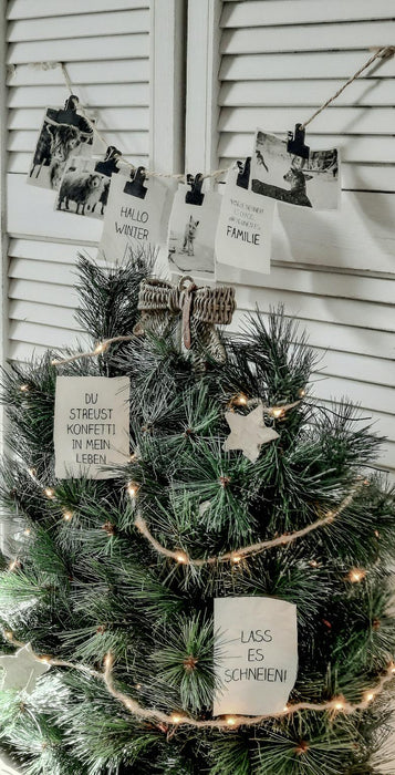 Winterslinger met dieren