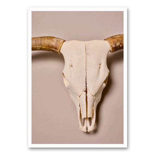 Afbeelding van een stijlvolle schedel, ontworpen in een minimalistische en moderne stijl, perfecte decoratie voor jouw interieur. 