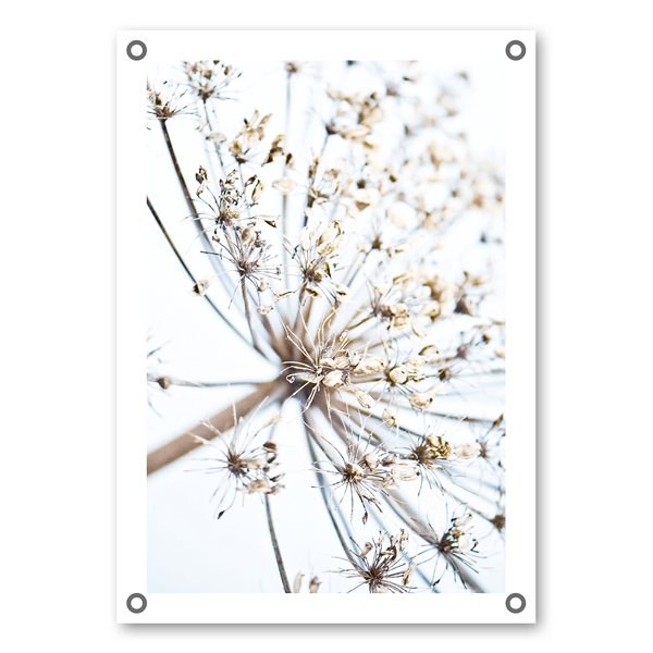 Mo-Ca Dutch old canvas Garden banner