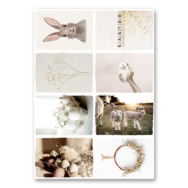 Slinger voor het voorjaar