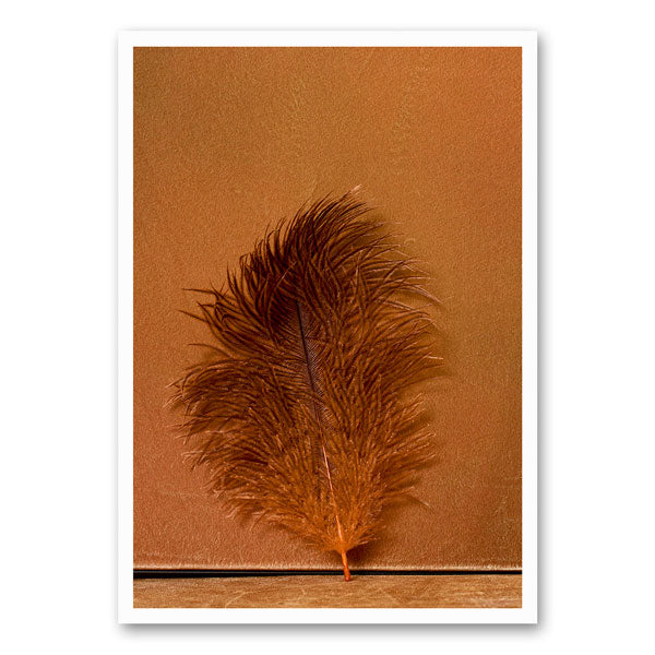 Artistieke afbeelding van een veer in warme roestkleuren, perfect als sfeervolle wanddecoratie