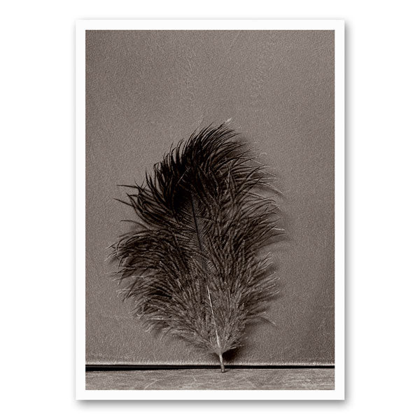 Zwart-wit canvas met een elegante veer, een minimalistisch ontwerp voor moderne wanddecoratie.