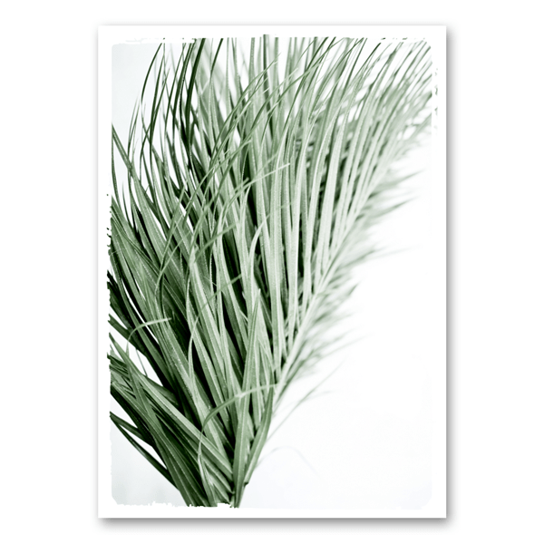 Mo-Ca Dutch old canvas Wuifend palmblad