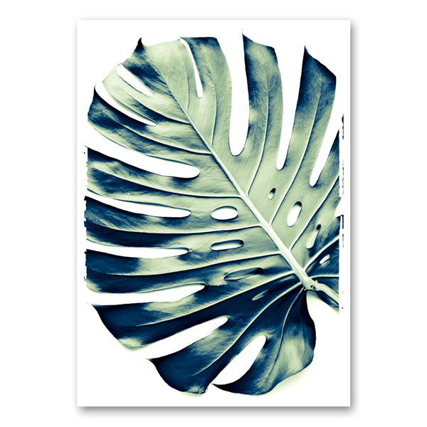 Mo-Ca Dutch old canvas Stijlvolle monstera