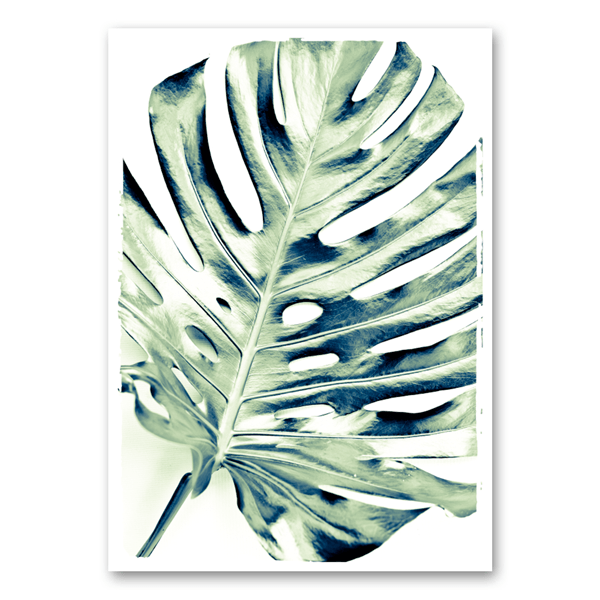 Mo-Ca Dutch old canvas Monstera