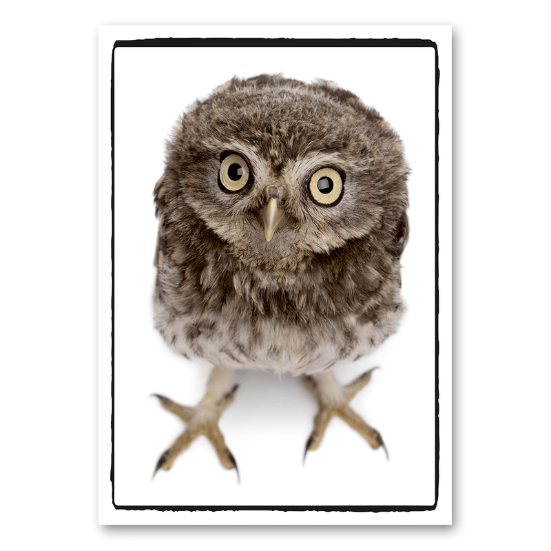 Mo-Ca Dutch old canvas Uil