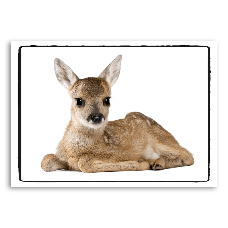 Mo-Ca Dutch old canvas Hertje