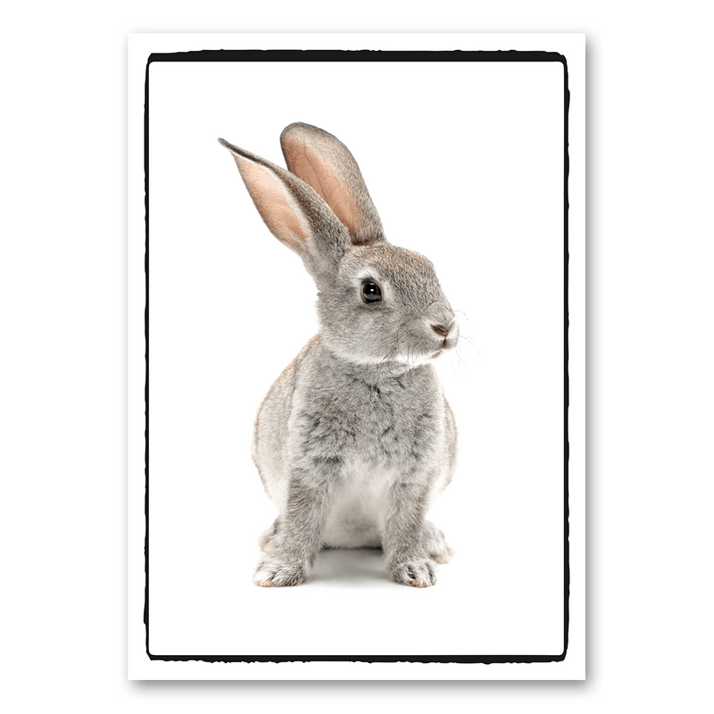 Mo-Ca Dutch old canvas Konijn