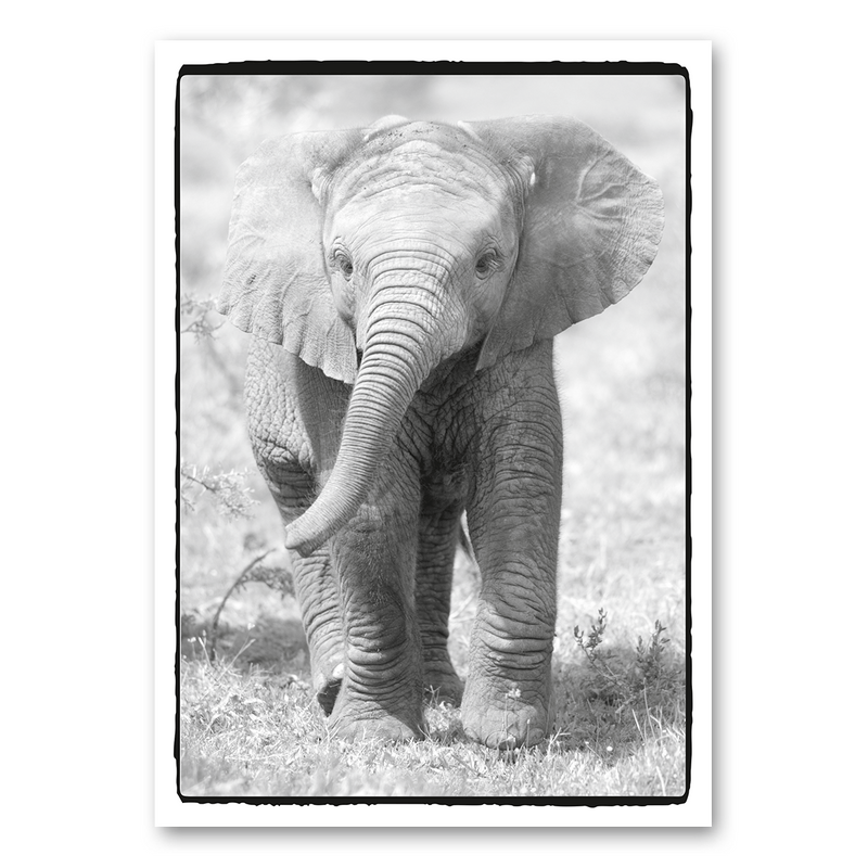 Mo-Ca Dutch old canvas Olifantje