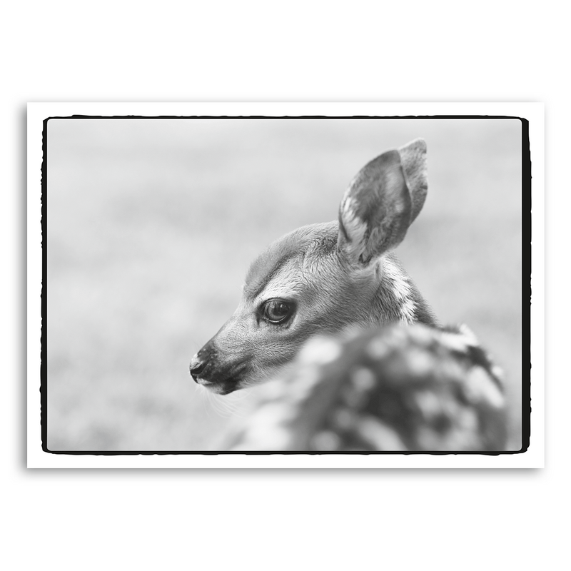 Mo-Ca Dutch old canvas Hertje zwart wit