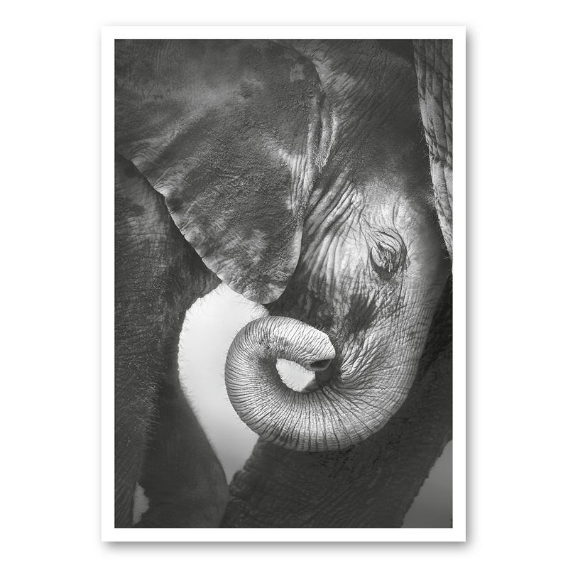 Mo-Ca Dutch old canvas Olifantje bij moeder