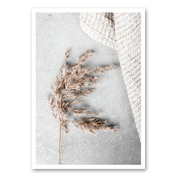 Mo-Ca Dutch old canvas Pluim riet met warm kleed