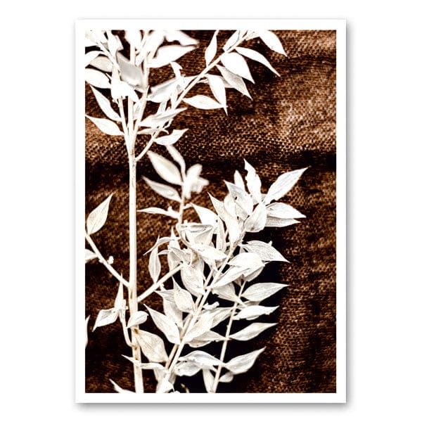 White branch on brown background