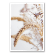 Mo-Ca Dutch old canvas Bloemen detail graan