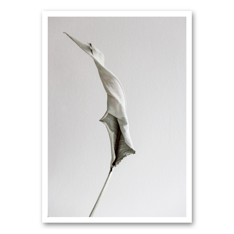 Mo-Ca Dutch old canvas Stilleven blad