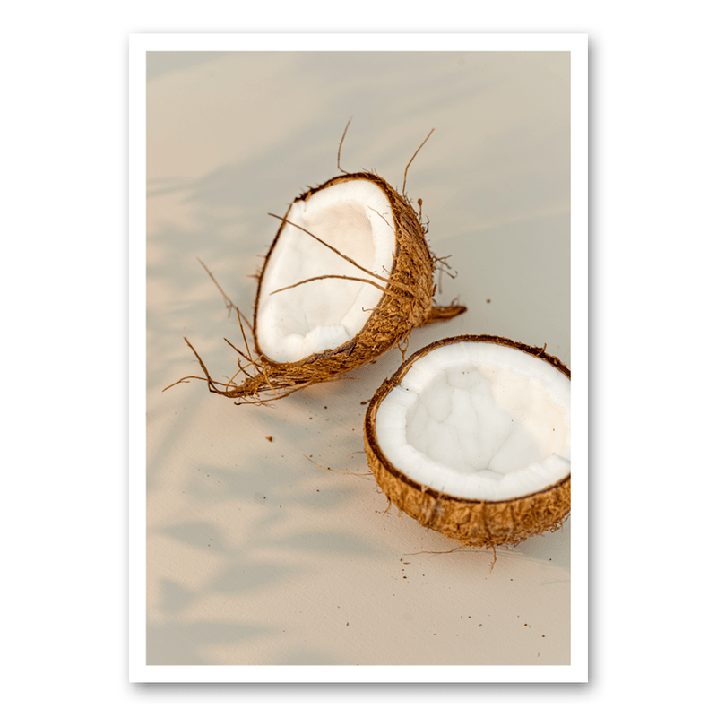 Mo-Ca Dutch old canvas Kokosnoten