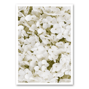 Mo-Ca Dutch old canvas Detail hortensia