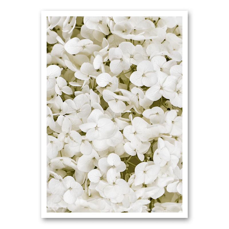 Mo-Ca Dutch old canvas Detail hortensia
