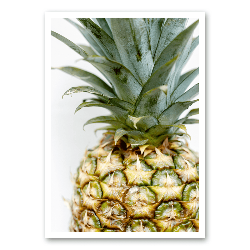 Mo-Ca Dutch old canvas Ananas