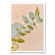 Mo-Ca Dutch old canvas Eucalyptus