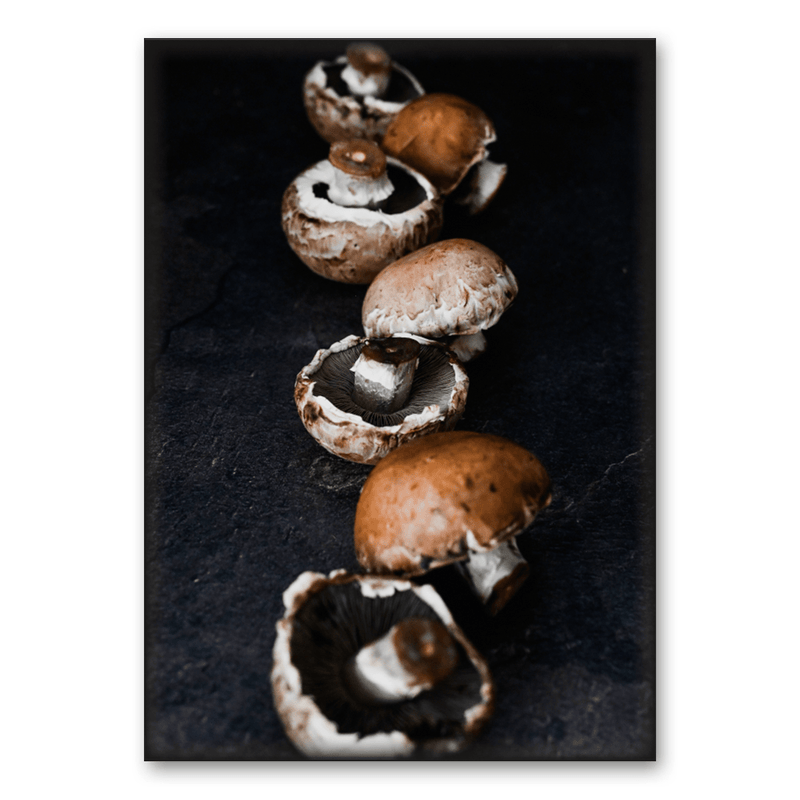 Mo-Ca Dutch old canvas Champignons