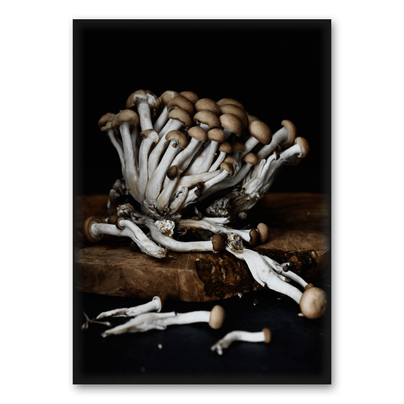 Mo-Ca Dutch old canvas Wilde champignons
