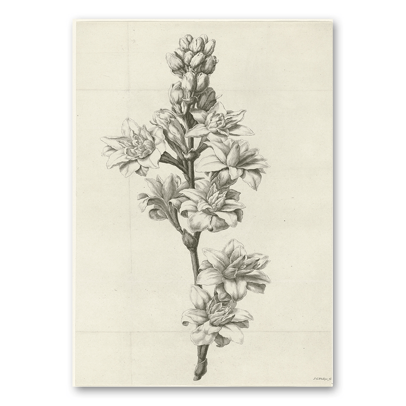 Mo-Ca Dutch old canvas Bloem