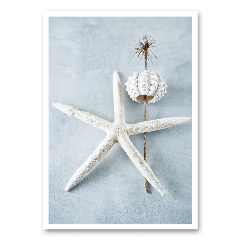 Mo-Ca Dutch old canvas Zomerse zeester