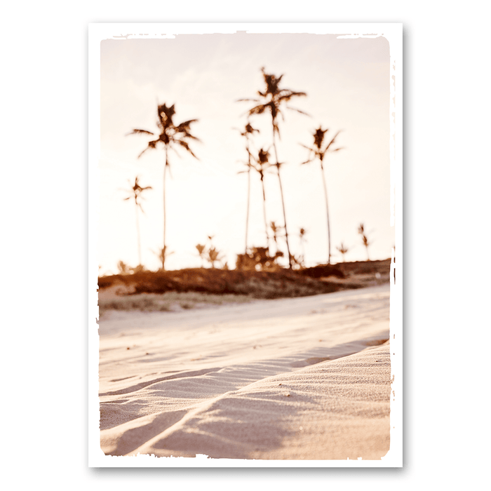 Strand und Palmen