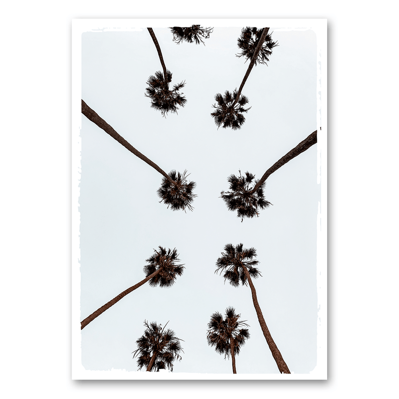 Mo-Ca Dutch old canvas Palmbomen