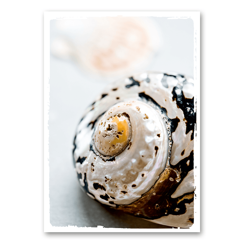 Mo-Ca Dutch old canvas Schelp detail